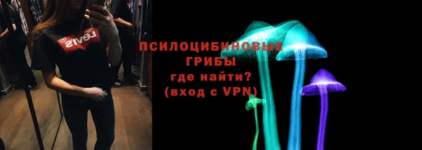 эйфоретик Алексин